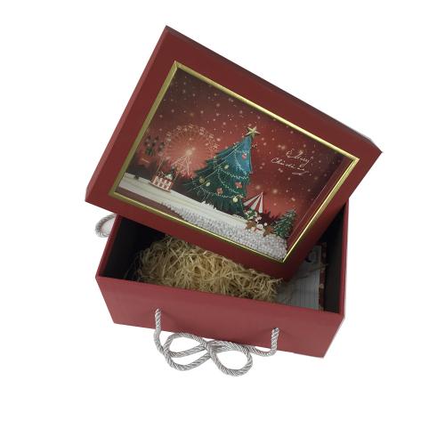 Luxury Christmas See-through Gift Boxes