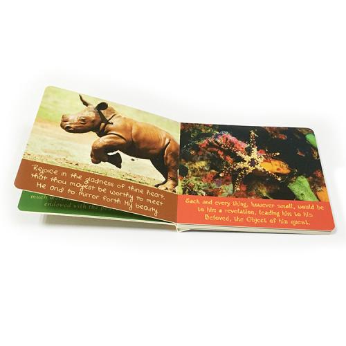 Valleys of Wonder Animal Photography Board Books Printing