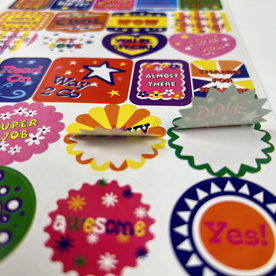 1739024161141561.jpg die cut.jpg